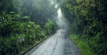 കേരളത്തിൽ വേനൽമഴയെത്തും; 4 ജില്ലകളിൽ യെല്ലോ അലർട്ട്