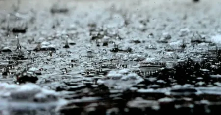 കേരളത്തിൽ ശക്തമായ മഴയ്ക്ക് സാധ്യത; വിവിധ ജില്ലകളിൽ യെല്ലോ അലേർട്ട്