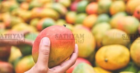 ഐസ്ലാന്ഡില് തരംഗമായി ഇന്ത്യന് മാമ്പഴം; കയറ്റുമതി വിപണിയില് വന് കുതിപ്പിന് വഴിതുറക്കുന്നു