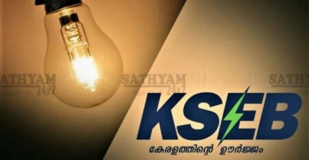 പാലക്കാട് വൈദ്യുതി മുടങ്ങി ഓക്സിജൻ കോൺസൻട്രേറ്റർ നിലച്ചു കിടപ്പുരോഗി മരിച്ചു