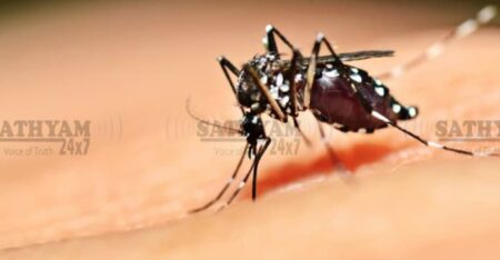 ജില്ലയിൽ ഡെങ്കിപ്പനി വ്യാപനം വർദ്ധിക്കുന്നു; കൊതുക് നശീകരണത്തിന് കർശന നിർദ്ദേശവുമായി ആരോഗ്യവകുപ്പ്