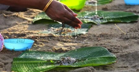 കർക്കടക വാവ് ബലിതർപ്പണം: പിതൃസ്മരണയിൽ ഭക്തിസാന്ദ്രമായി കേരളം, പ്രധാന ക്ഷേത്രങ്ങളിൽ വൻ ഭക്തജനത്തിരക്ക്