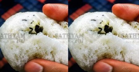 ഇടക്കൊച്ചിയിലെ ബേക്കറിയിൽ നിന്ന് വാങ്ങിയ ബ്രഡിനുള്ളിൽ ചത്ത പല്ലികൾ; ഉടമയ്ക്ക് പിഴ ചുമത്തി ആരോഗ്യവിഭാഗം