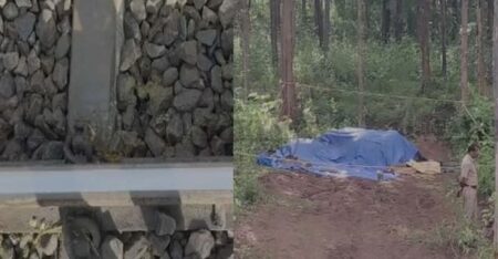 വാളയാറിൽ ട്രെയിൻ ഇടിച്ച് പിടിയാനയും കുട്ടിയാനയും ചരിഞ്ഞു